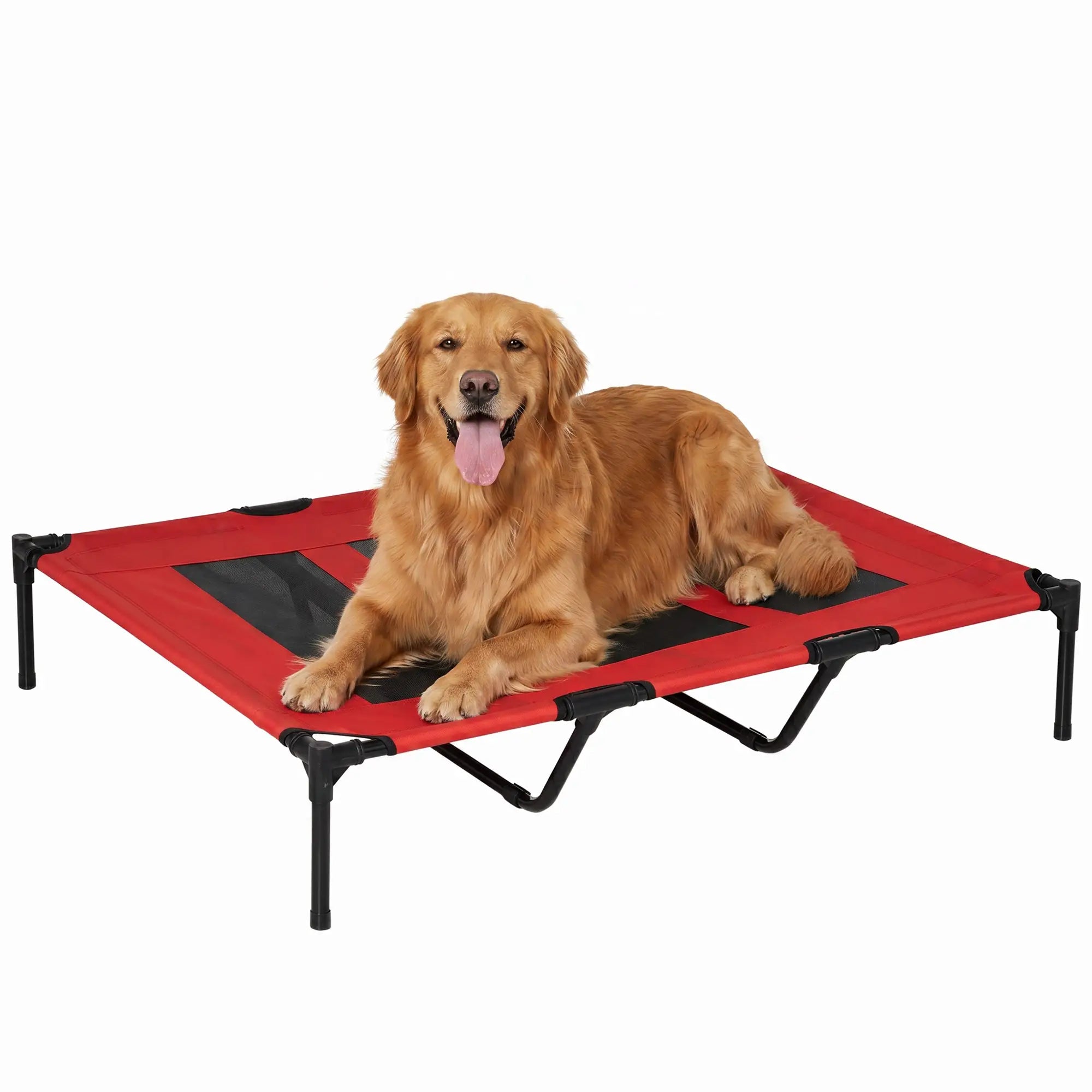 Elevated Dog Bed, Raised Dog Cot, XL 48