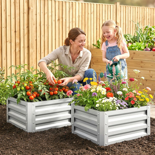 2' x 2' x 1' Raised Garden Bed, Galvanised Steel Frame, Vegetables, Flowers, Herbs, Silver