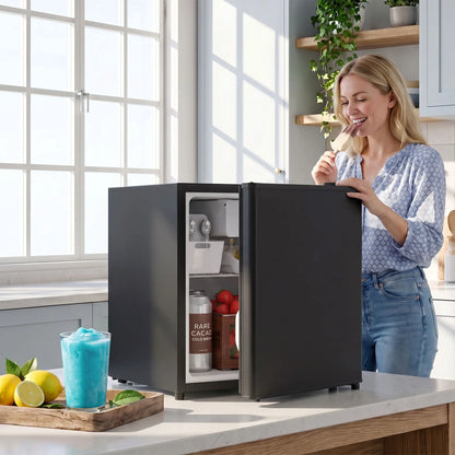 1.62 Cu Ft Single Door Mini Fridge With Freezer, Black Small Kitchen Appliances at Gallery Canada