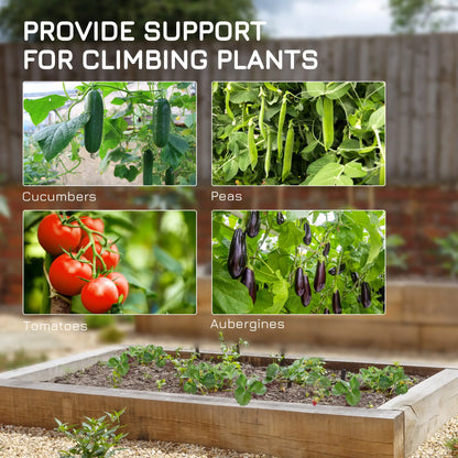 Metal Cucumber Trellis With Netting, A Frame Tomato Support, Green Plant Stands at Gallery Canada