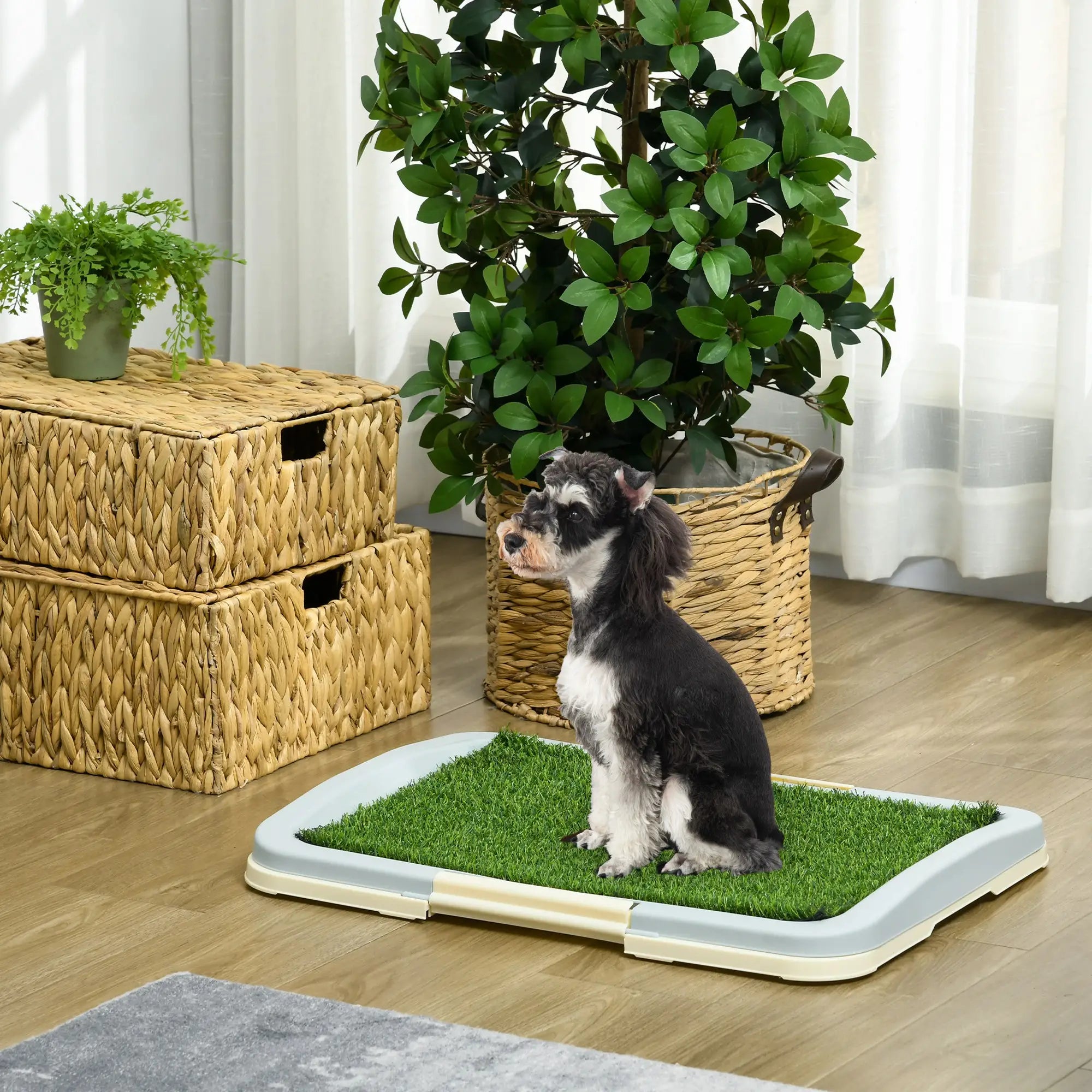 Puppy Training Pad, Indoor Portable, With Tray, 24.8