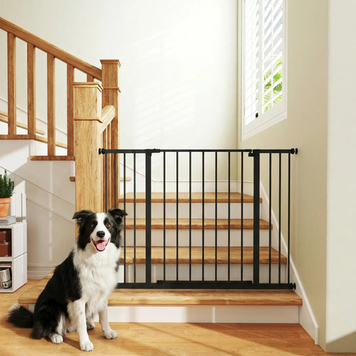 Pressure Fit Dog Gate, 29.9''-42.1'' Width, Black
