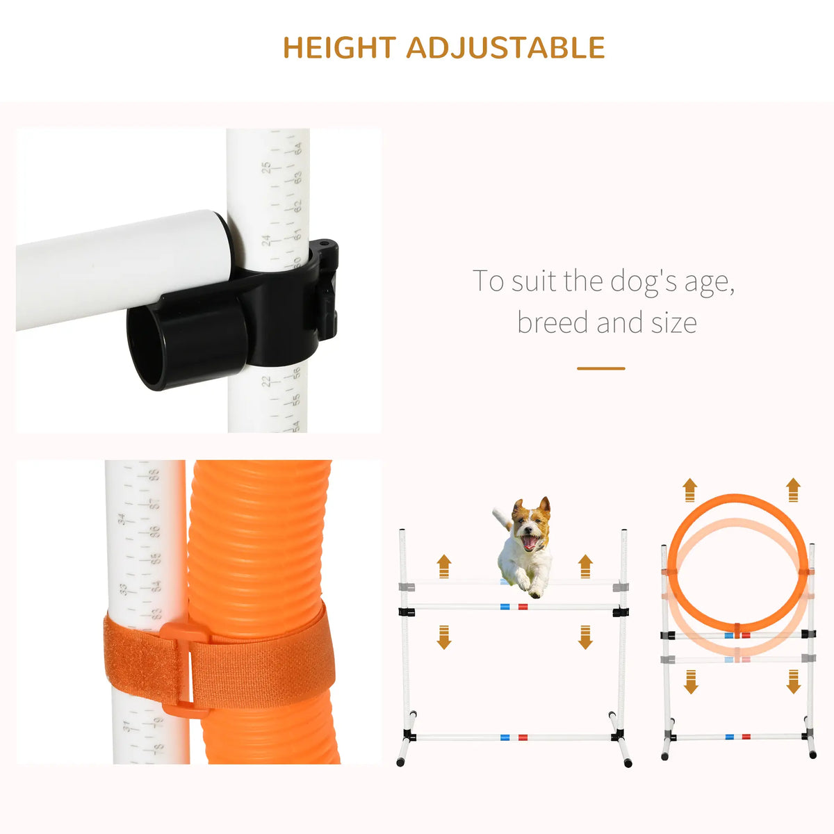 3 Piece Dog Agility Training Set, High Jump, Jumping Ring, Weave Poles, Storage Bag, White, Orange, Blue Dog Agility Training Equipment at Gallery Canada