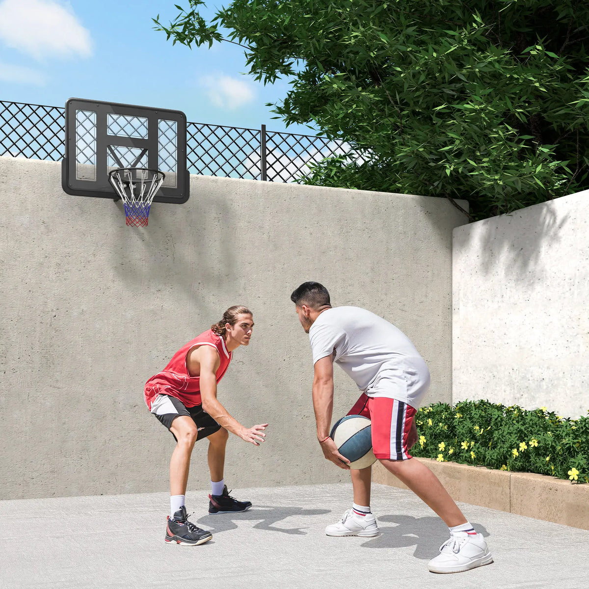 Wall Mounted Basketball Hoop, 43" Shatter Resistant Backboard, All Weather Net Basketball at Gallery Canada