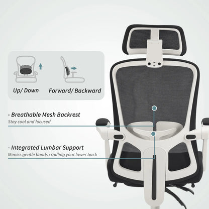 Ergonomic Office Chair, Mesh Reclining Desk Chair, Adjustable Lumbar Support, Headrest, Black Office Chairs at Gallery Canada