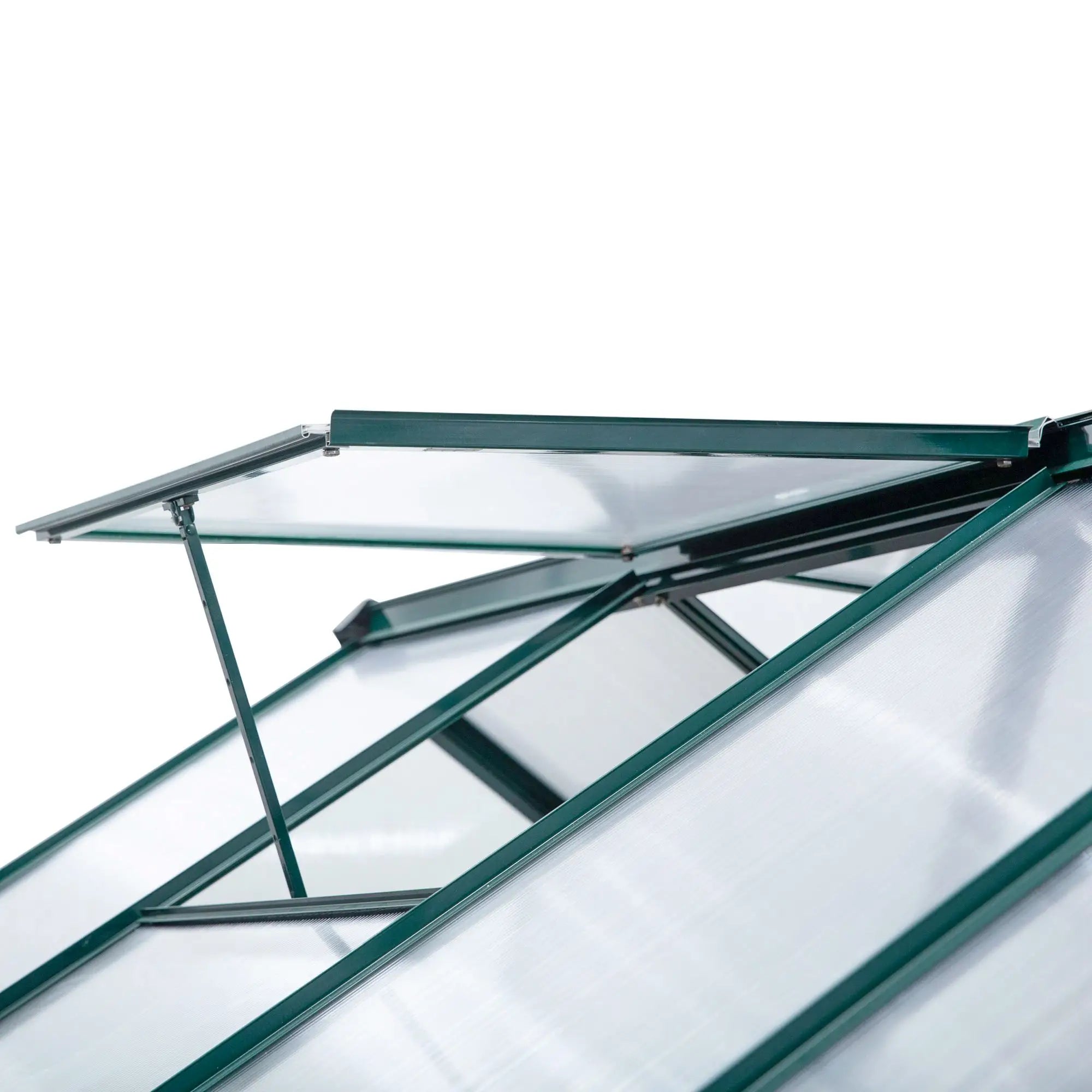 6' x 10' x 6.6' Polycarbonate Greenhouse, Walk-In Garden Kit, Green Walk In Greenhouses at Gallery Canada