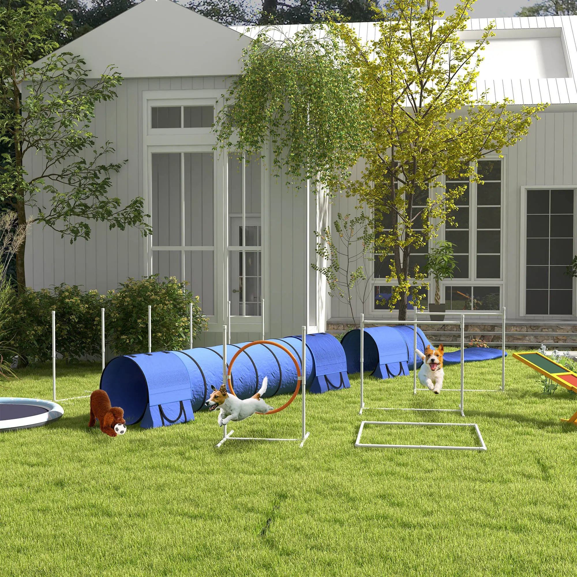 7 Pcs Dog Agility Kit, Tunnels, Weave Poles, Adjustable Hurdles, Blue Dog Agility Training Equipment at Gallery Canada