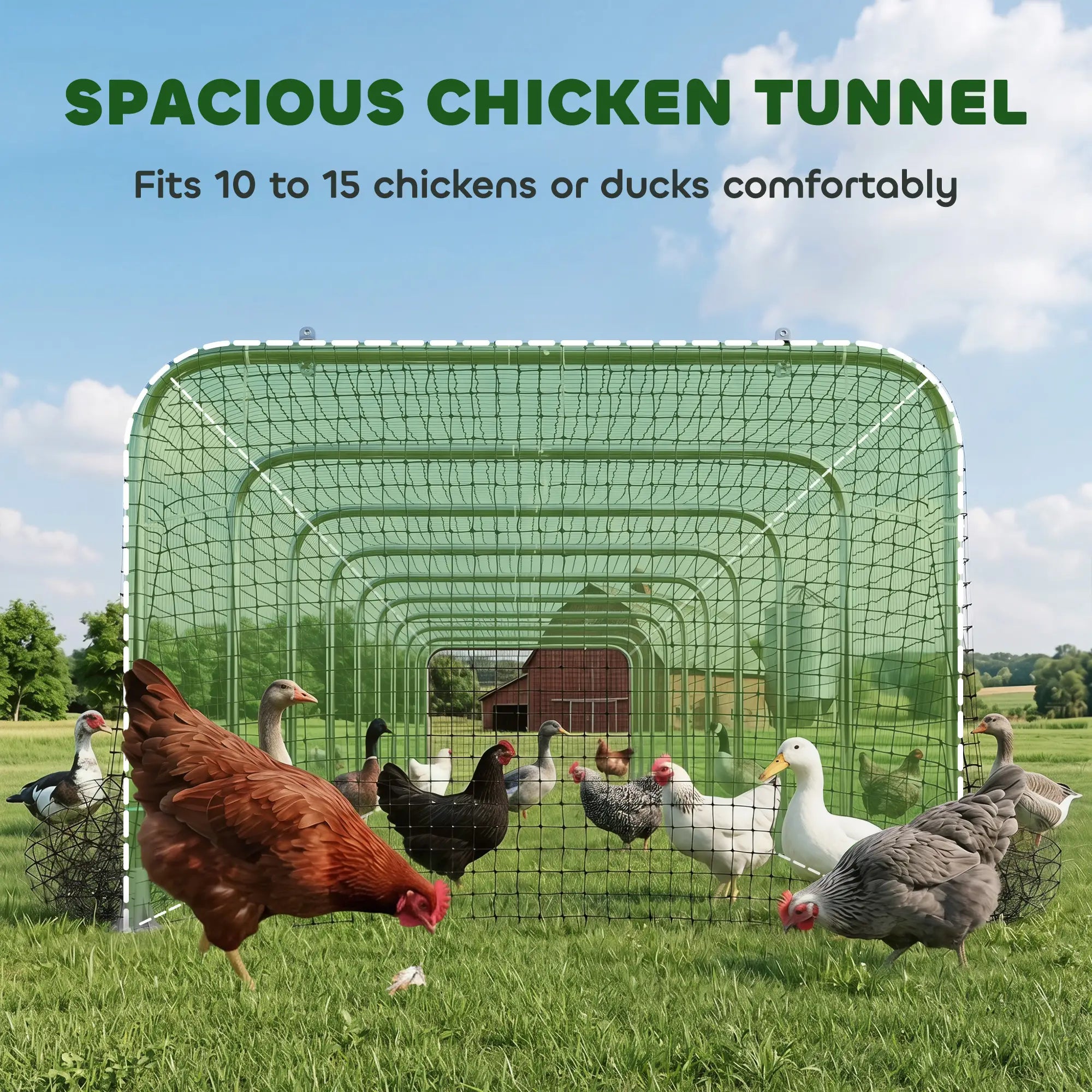 Extra Long Chicken Tunnel for Outside, 354