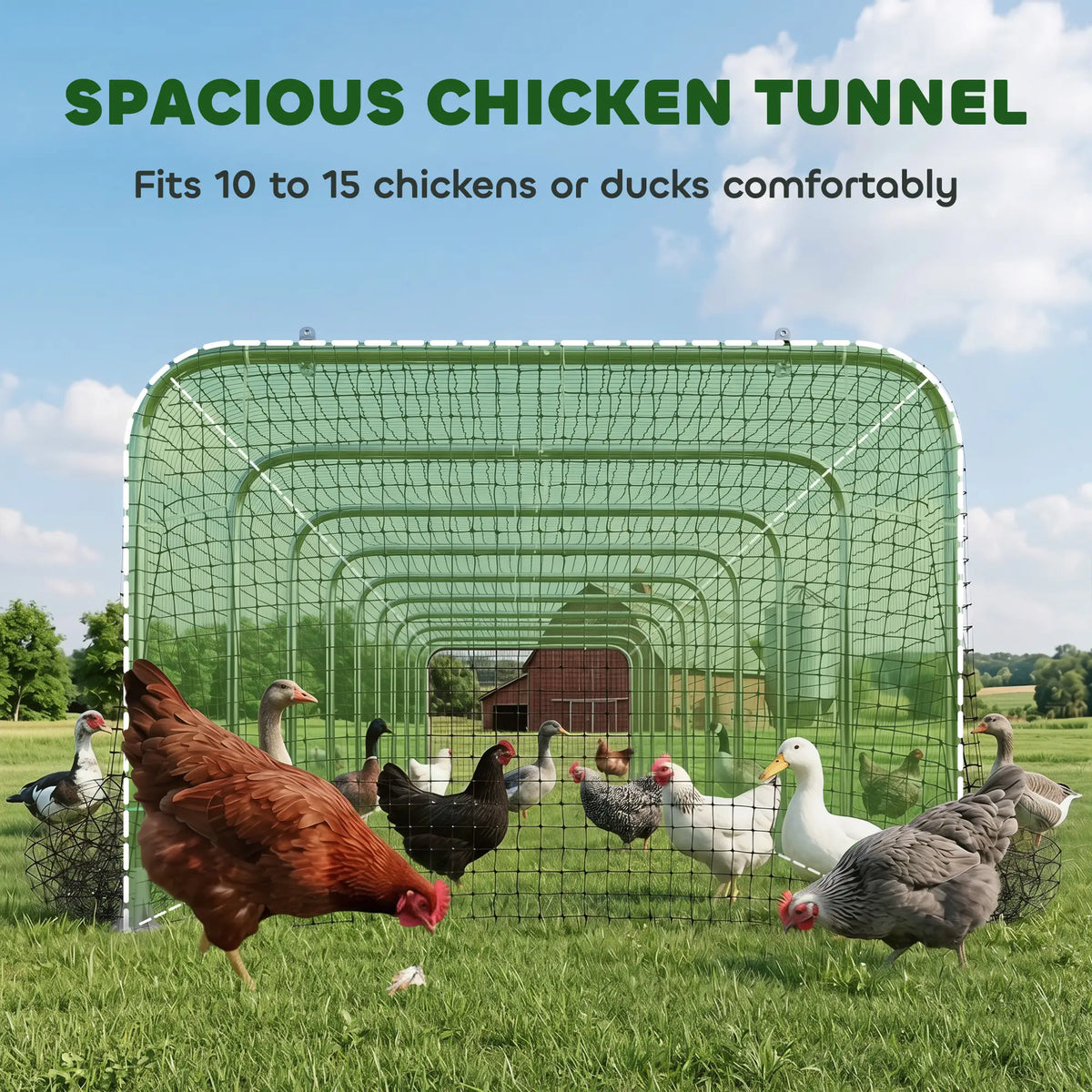Extra Long Chicken Tunnel for Outside, 354" x 39" Galvanized Steel Chicken Run for 10-15 Chickens or Ducks Chicken Coops at Gallery Canada