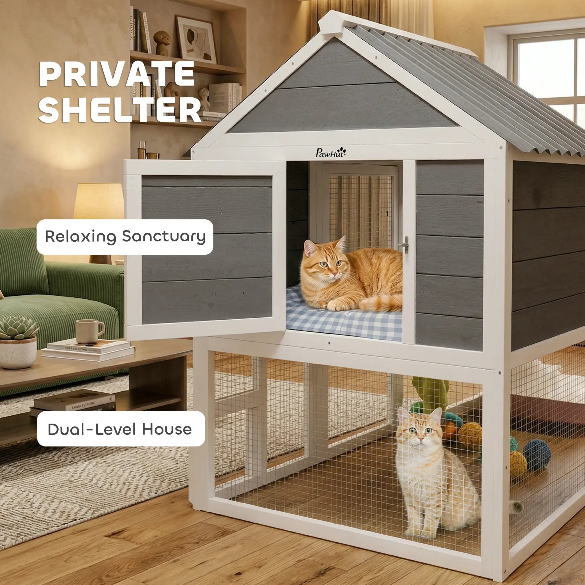 Large Catio, 63