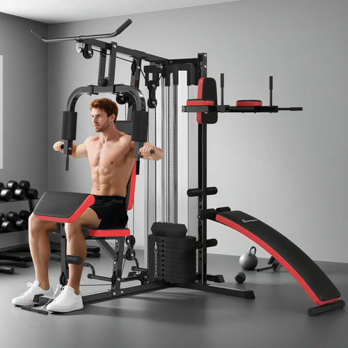 Home Gym Equipment, Workout Station with Bench, Push Up Stand, Dip Station, 99lbs Weights