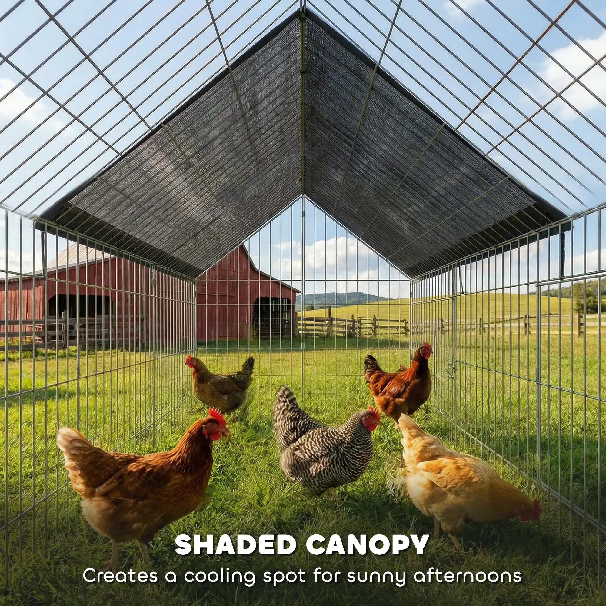 Metal Chicken Coop With UV-Resistant Cover, 71