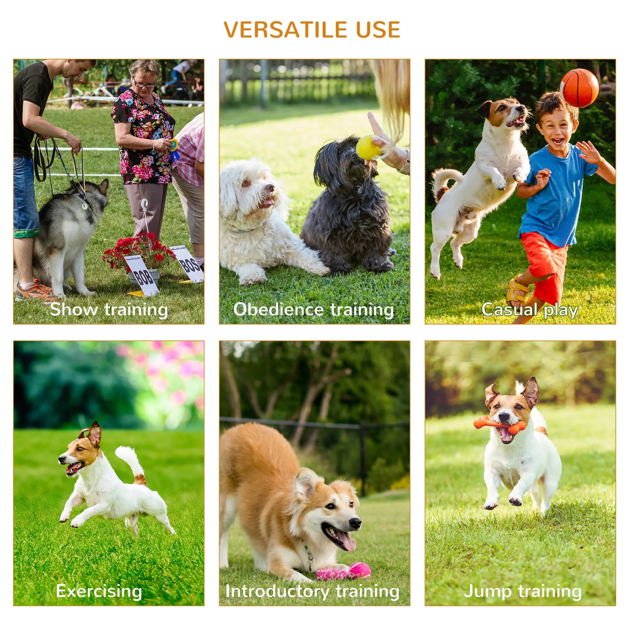 3 Piece Dog Agility Training Set, High Jump, Jumping Ring, Weave Poles, Storage Bag, White, Orange, Blue Dog Agility Training Equipment at Gallery Canada