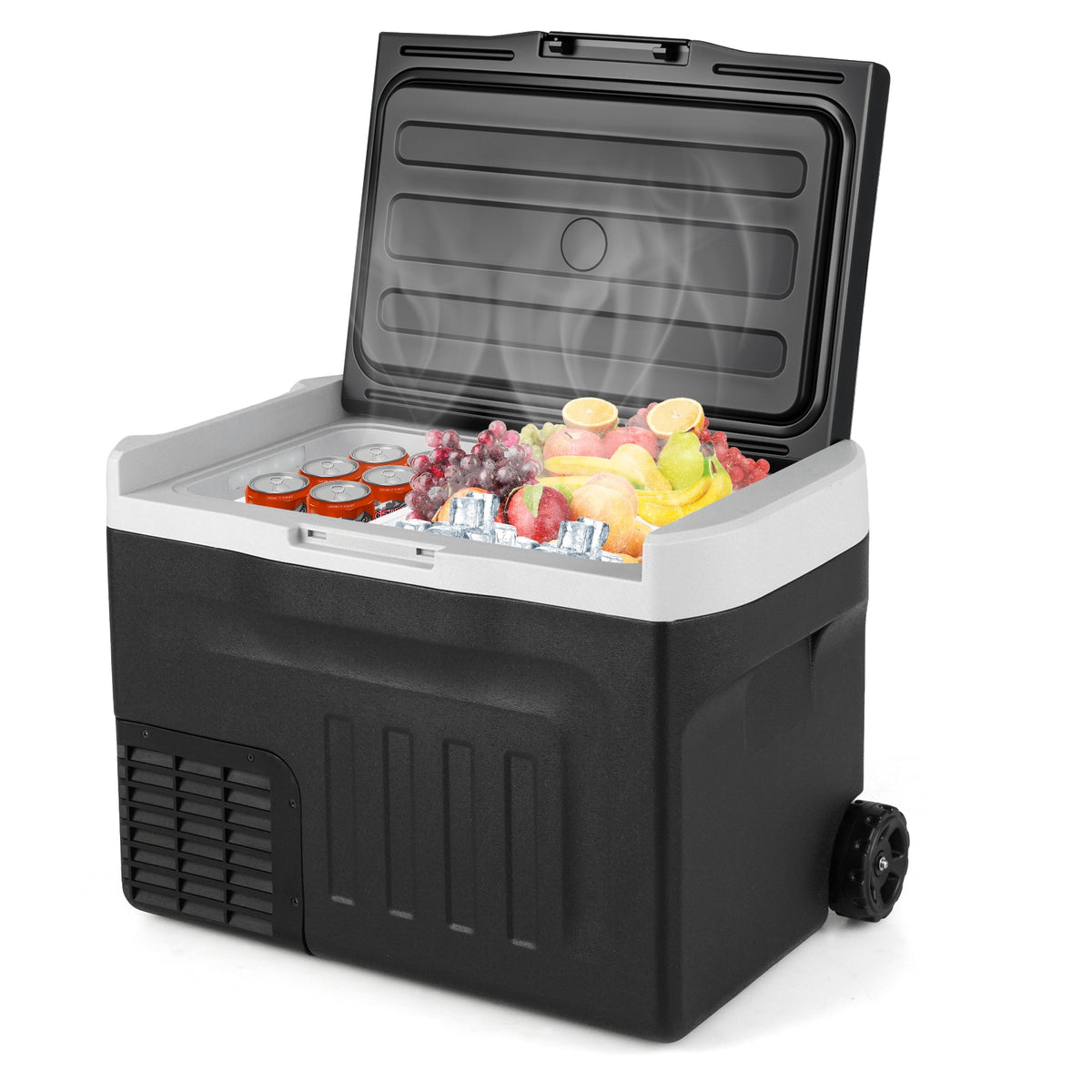 12V Car Refrigerator 32QT, Touch Panel, Removable Divider, Black Coolers at Gallery Canada