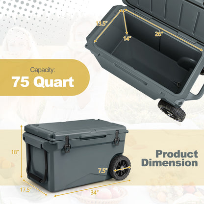 75 Quart Portable Cooler, Rotomolded Ice Chest, Gray Coolers at Gallery Canada