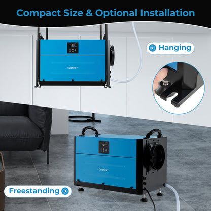 155 Pint Crawl Space Dehumidifier, 3 Modes, 24H Timer, Blue Dehumidifiers at Gallery Canada