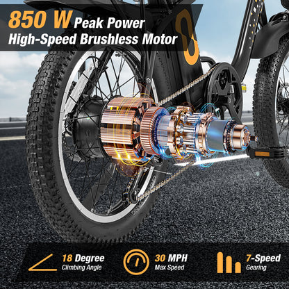 Folding Electric Bicycle, 20-Inch Fat Tires Snow E-Bike, Black Exercise Bikes at Gallery Canada