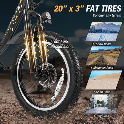 Folding Electric Bicycle, 20-Inch Fat Tires Snow E-Bike, Black Exercise Bikes at Gallery Canada