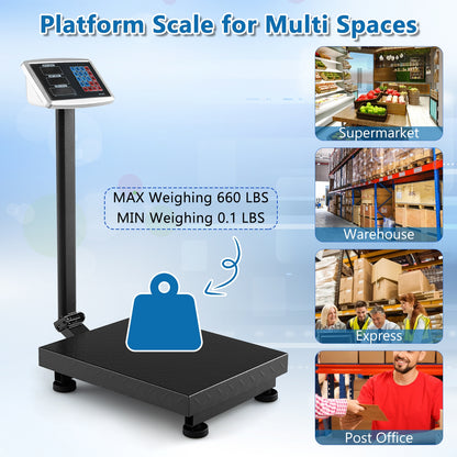 Digital Platform Scale With Price Calculator, Silver Kitchen Tools at Gallery Canada