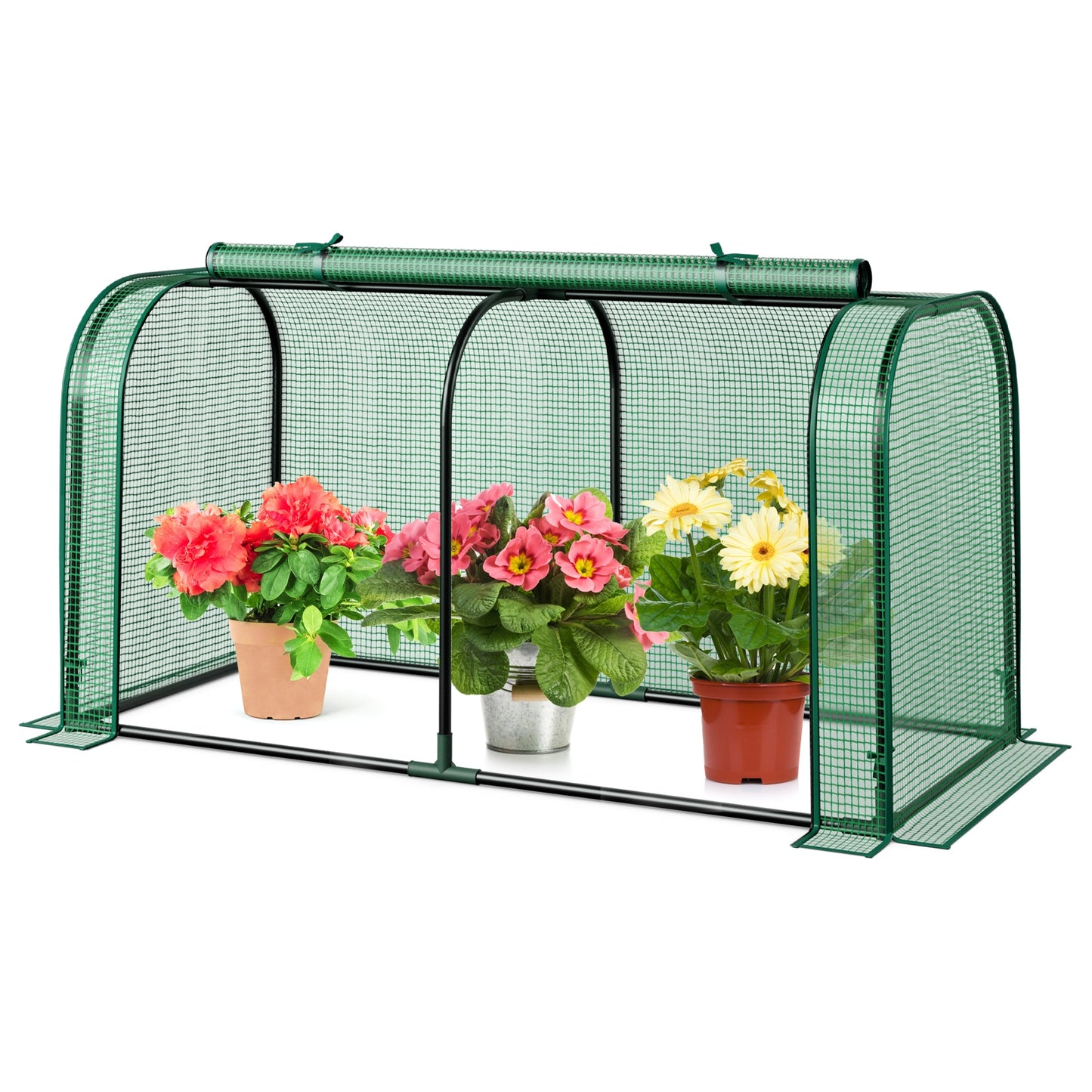 Mini Tunnel Greenhouse, Roll-Up Zipper Door, Green Greenhouses at Gallery Canada