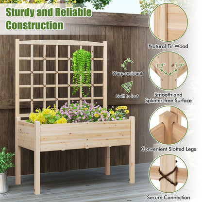 Raised Garden Bed With Lattice Trellis, Drainage Holes, Natural Raised Garden Beds at Gallery Canada