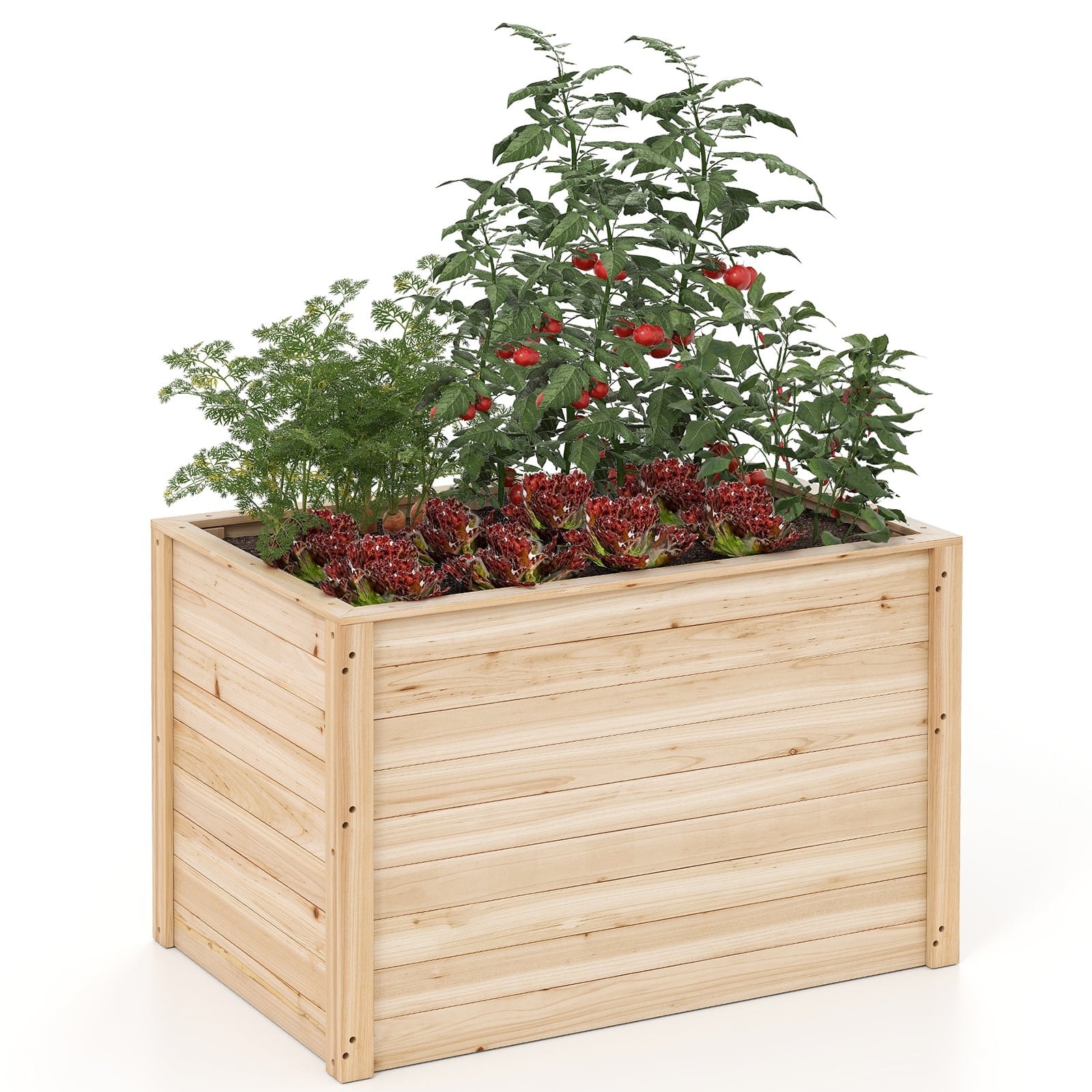 Wooden Raised Garden Bed, Elevated Planter Box, Open-Ended Base Raised Garden Beds at Gallery Canada