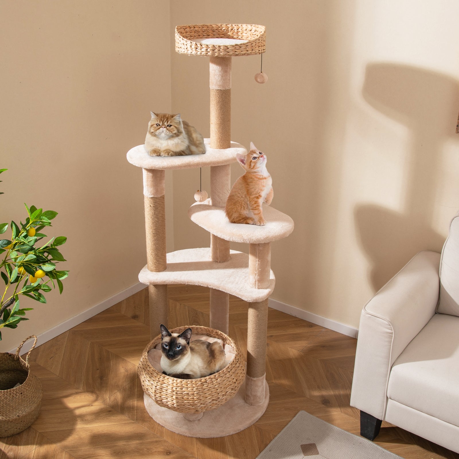 59 Inches Cat Tree With Perch And Soft Hammock, Beige Cat Trees Condos & Scratchers at Gallery Canada