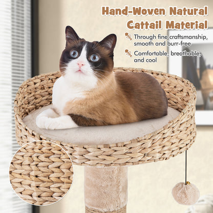 59 Inches Cat Tree With Perch And Soft Hammock, Beige Cat Trees Condos & Scratchers at Gallery Canada