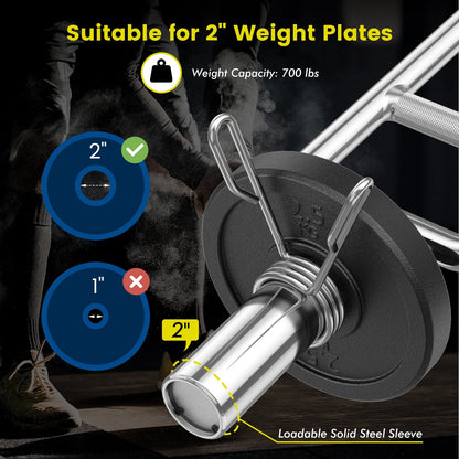 Olympic Triceps Bar, 700 LBS, Knurled Handles, Silver Weights Accessories at Gallery Canada