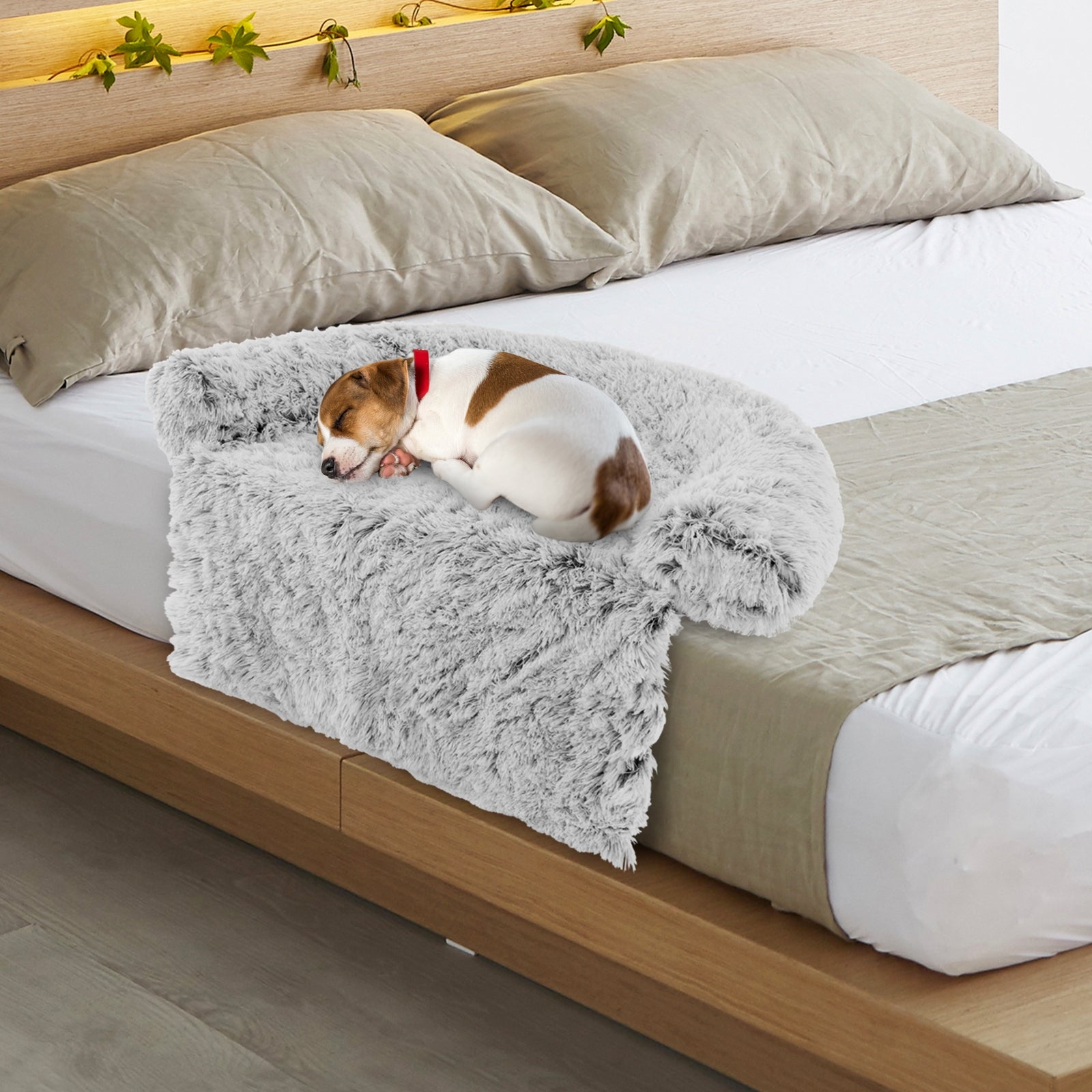 Plush Calming Dog Couch Bed, Anti-Slip Bottom, S, White Cat Supplies at Gallery Canada