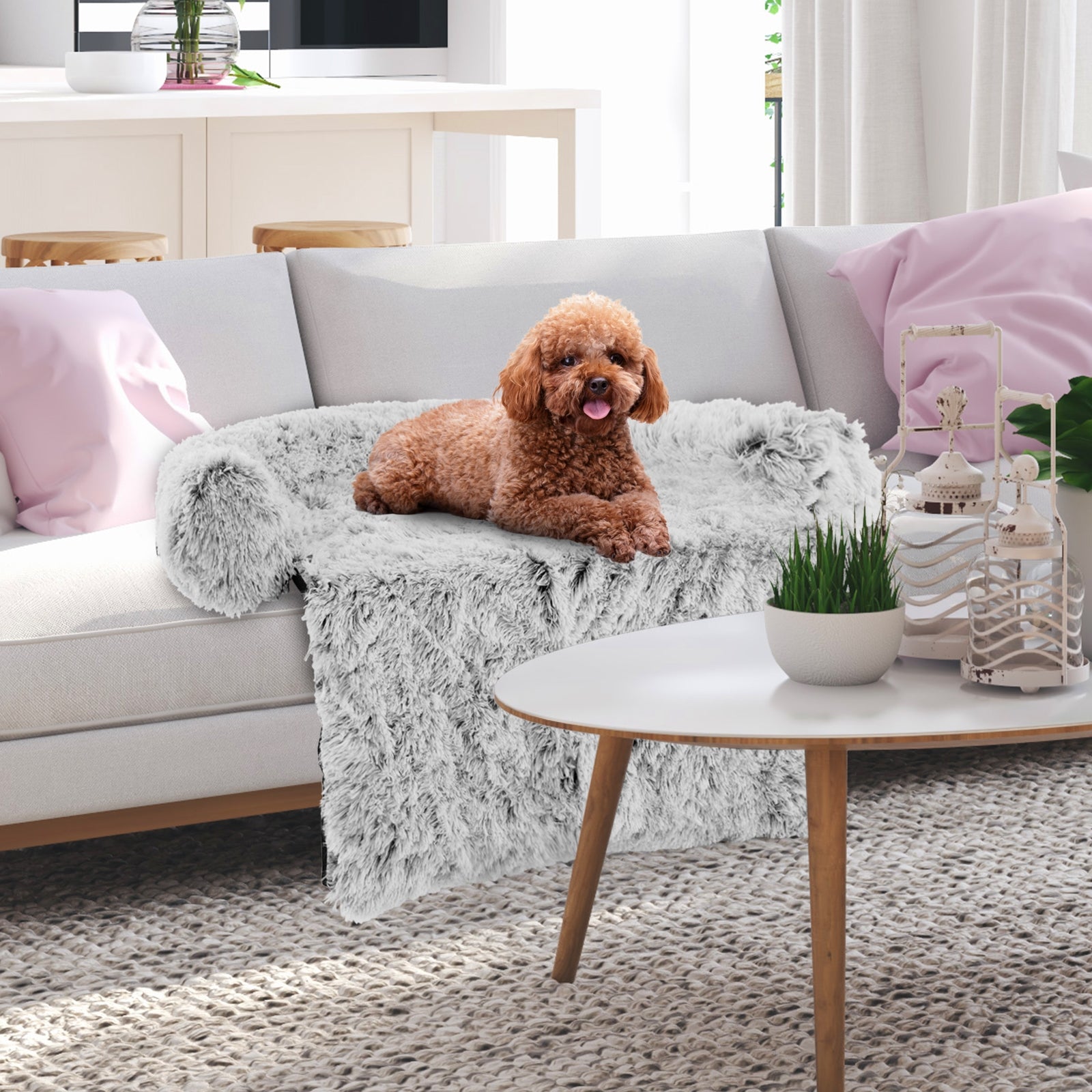 Plush Calming Dog Couch Bed, Anti-Slip Bottom, S, White Cat Supplies at Gallery Canada