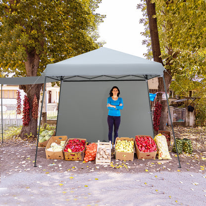 10x10FT Pop-Up Canopy Tent With Sidewalls, Awnings, Gray Canopies at Gallery Canada