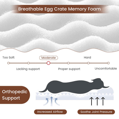 Orthopedic Dog Bed, Memory Foam, Large, Gray Dog Supplies at Gallery Canada