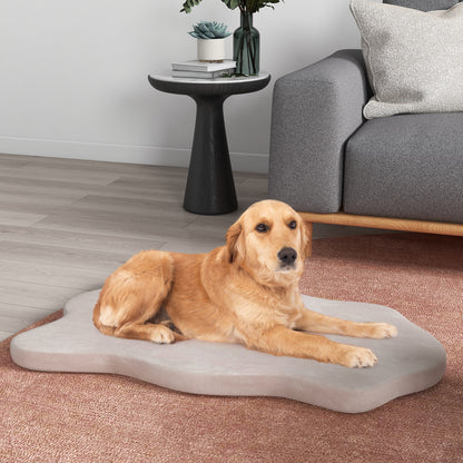 Orthopedic Dog Bed, Memory Foam, Large, Beige Dog Supplies at Gallery Canada