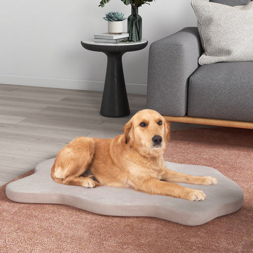 Orthopedic Dog Bed, Memory Foam, Large, Beige