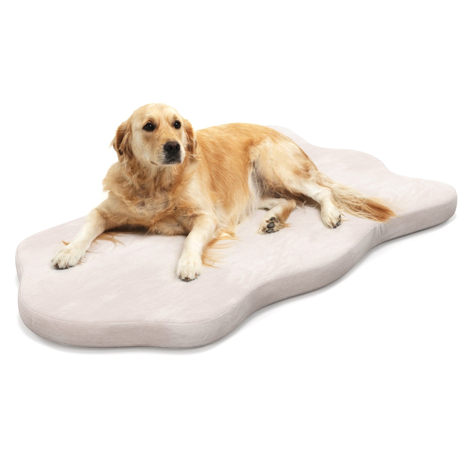 Orthopedic Dog Bed, Memory Foam, Large, Beige Dog Supplies Beige at Gallery Canada