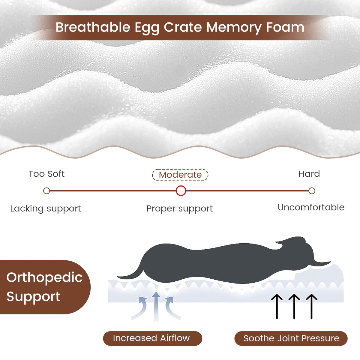Orthopedic Dog Bed, Memory Foam, Large, Beige Dog Supplies at Gallery Canada