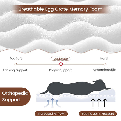 Orthopedic Dog Bed, Memory Foam, Large, Beige Dog Supplies at Gallery Canada