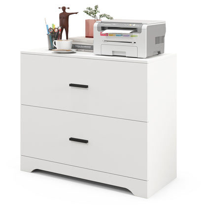2-Drawer Lateral File Cabinet, Adjustable Bars, White File Cabinets White at Gallery Canada
