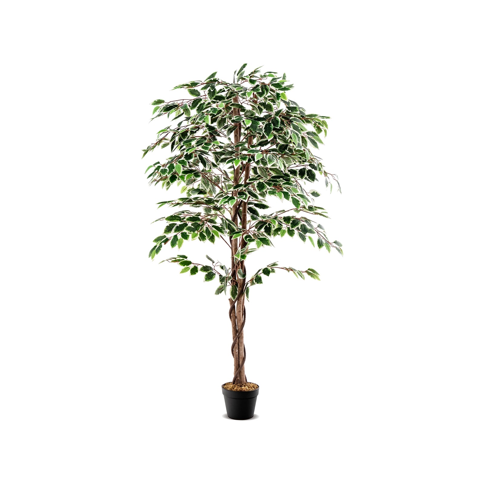 Artificial Ficus Tree, Tall Indoor Plant, 1008 Leaves, Green Faux Plants Green at Gallery Canada