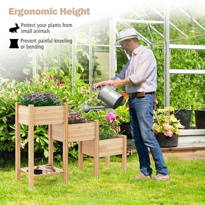 3-Tier Wooden Raised Garden Bed, Open Storage Shelf, Natural Raised Garden Beds at Gallery Canada