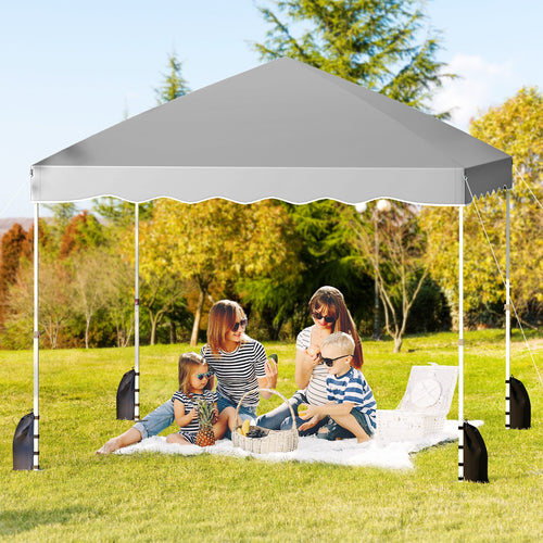 Foldable 10 X 10 Feet Pop Up Canopy Tent, Wheeled Bag, Gray