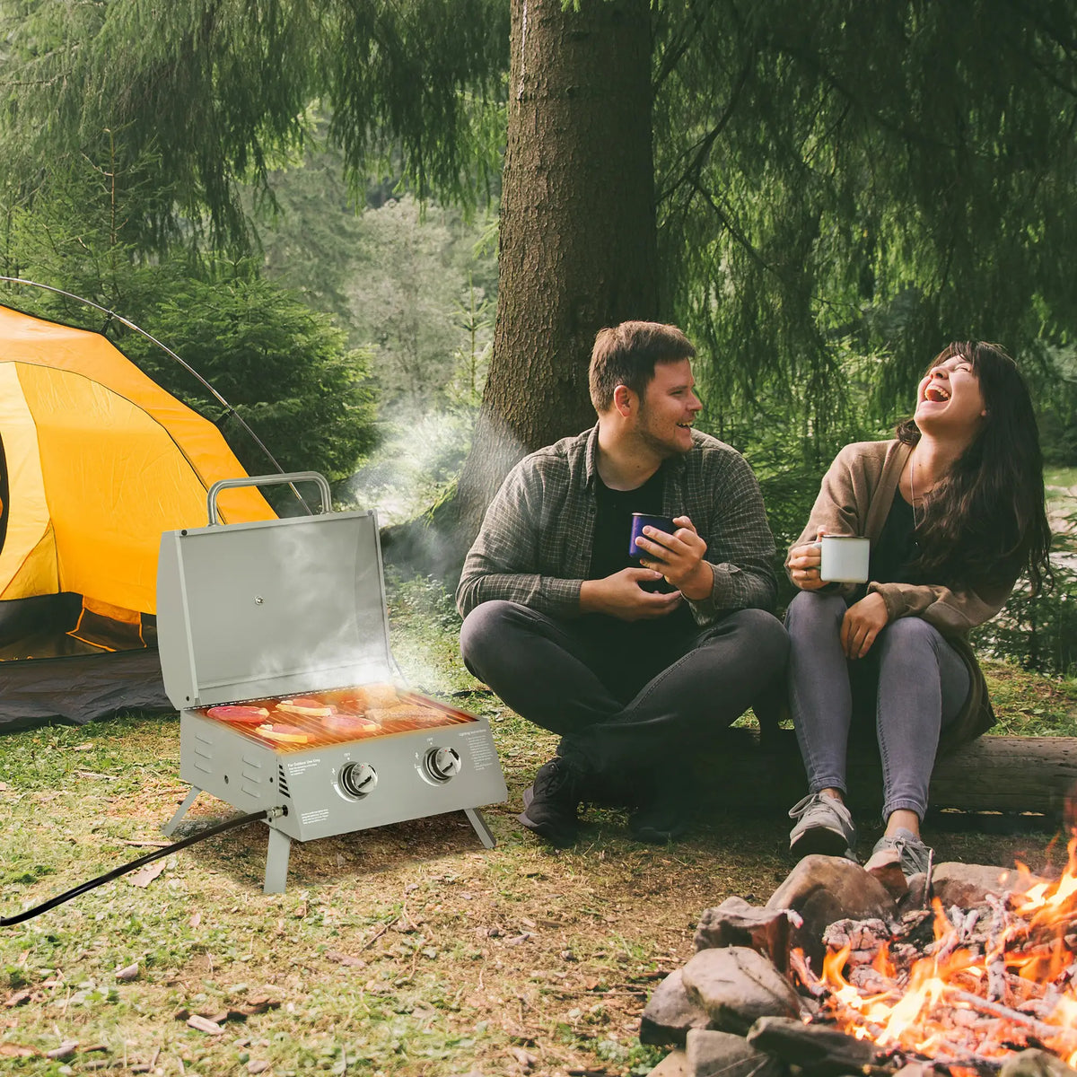 Portable Tabletop Propane Gas Grill, 2 Burner, Foldable Legs, Silver Propane Gas Grills at Gallery Canada