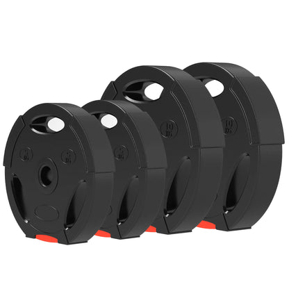 1-Inch Weight Plates, Barbell Weights Set, 2 x 22lbs + 2 x 11lbs Dumbbells & Barbells Black at Gallery Canada