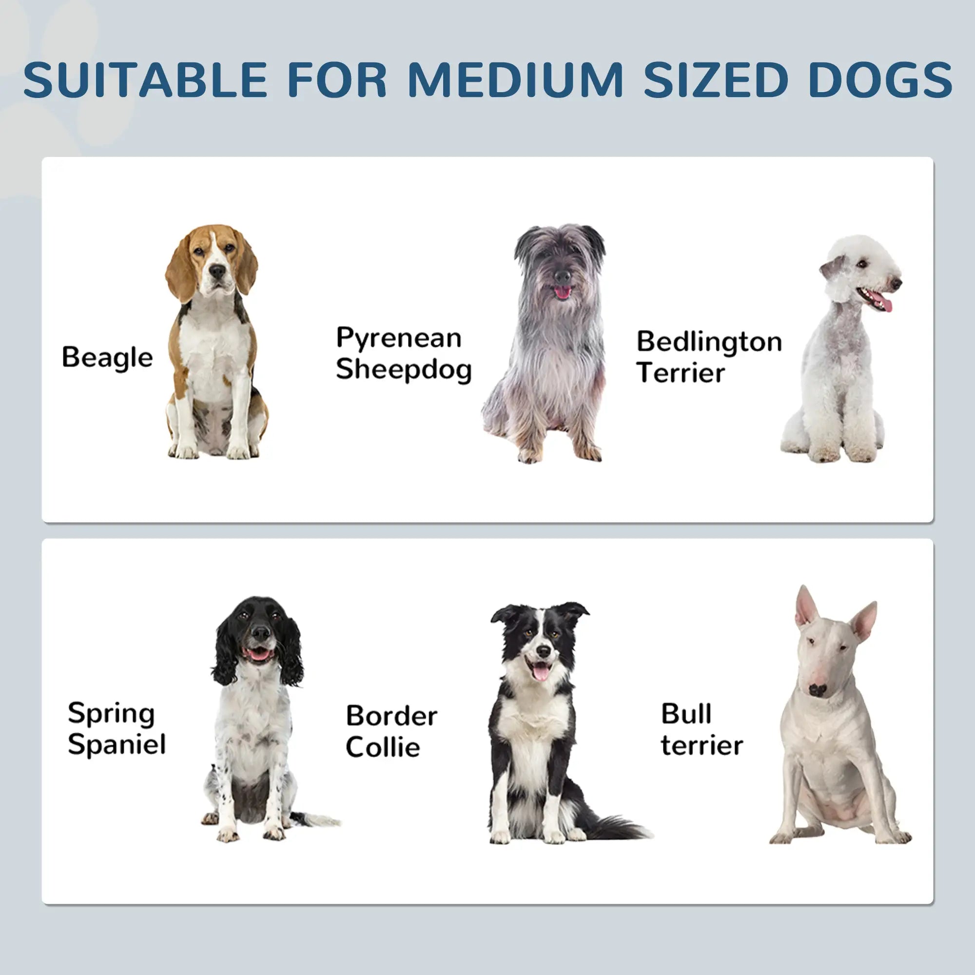 Dog Food Storage Container, Adjustable Panel, Hooks, Medium Size, White Dog Bowls at Gallery Canada