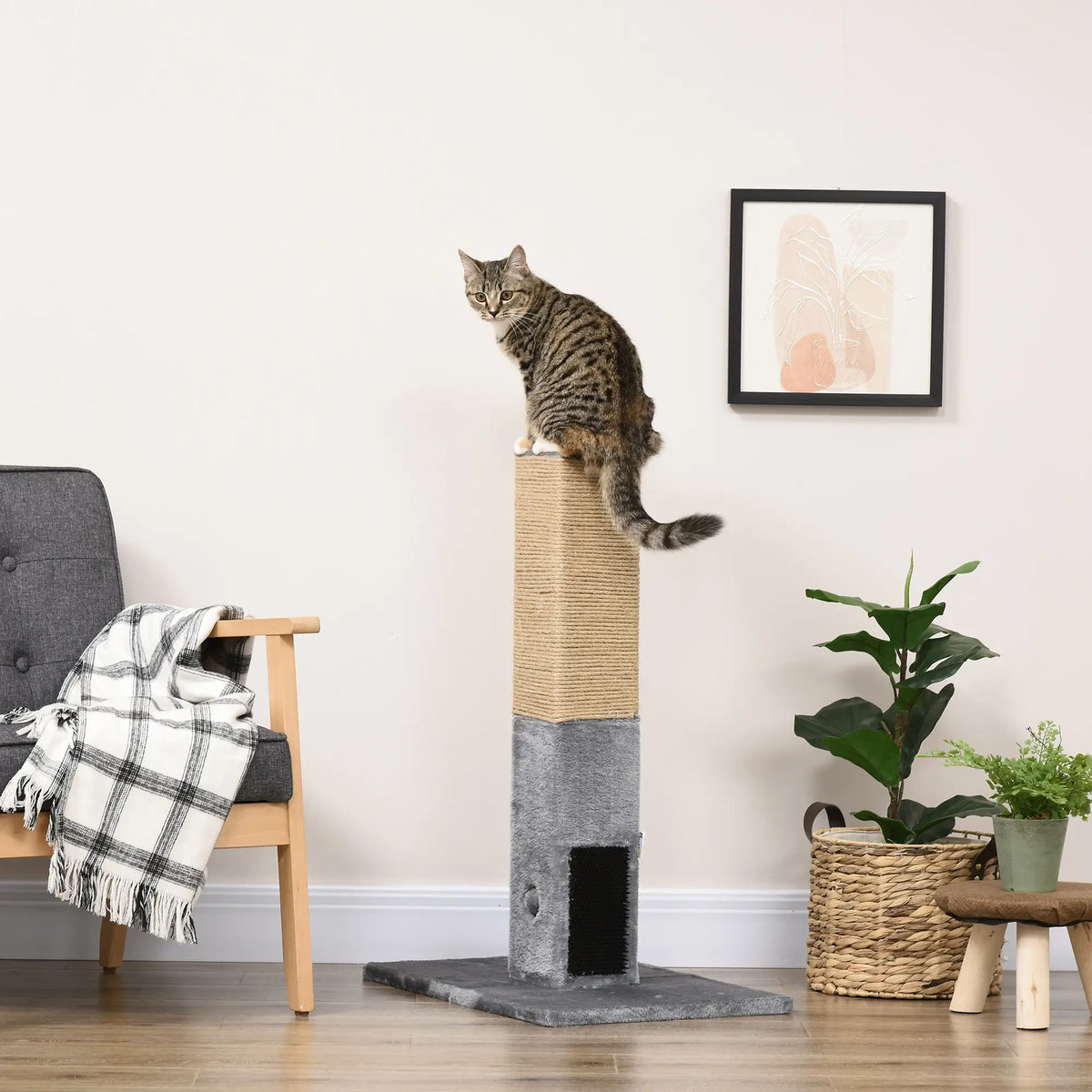 31" Tall Cat Scratching Post, Hanging Balls, Grooming Brushes, Grey Cat Posts at Gallery Canada