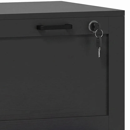 Vertical Filing Cabinet, 2 Drawers, Lock, A4 Letter, Black Office Cabinets & Cupboards at Gallery Canada