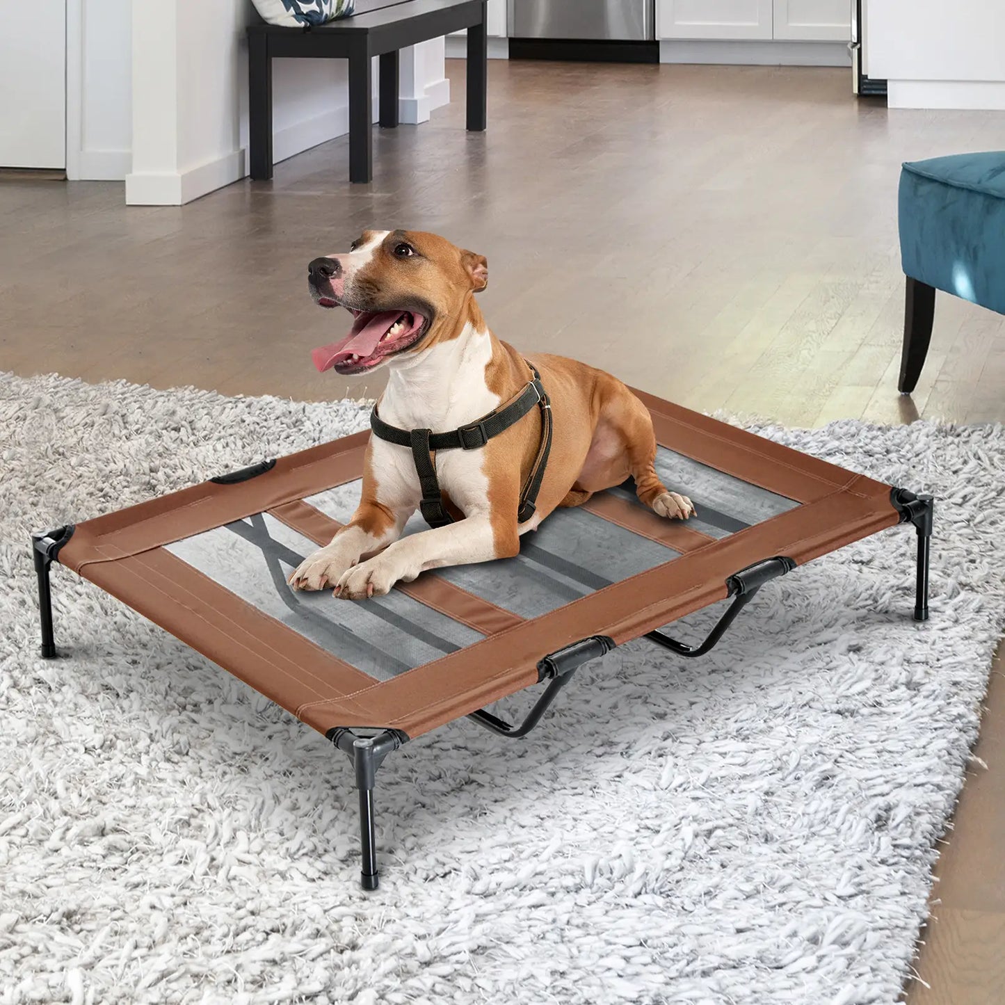 Elevated Dog Bed, XL Dog Cot, 48" x 36" x 9", Coffee Elevated Dog Beds at Gallery Canada
