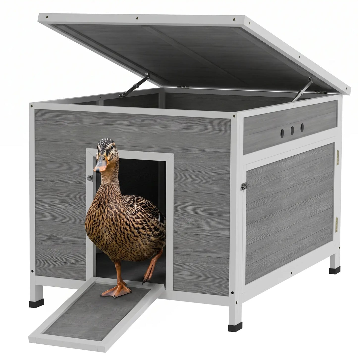 Wooden Duck Coop, Rabbit Hutch With Openable Roof, Removable Floor, Grey Chicken Coops at Gallery Canada