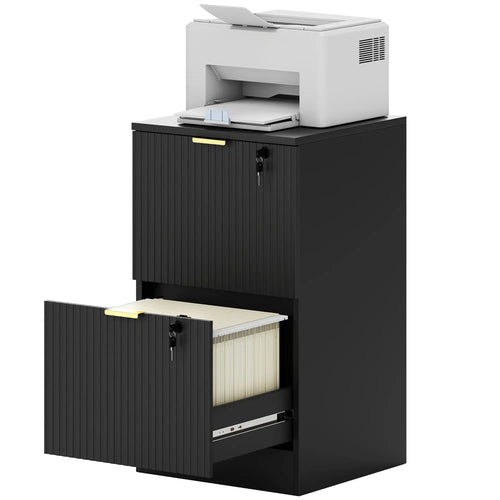 Lockable Filing Cabinet, 2 Fluted Drawers, Adjustable Hanging Rails, Black